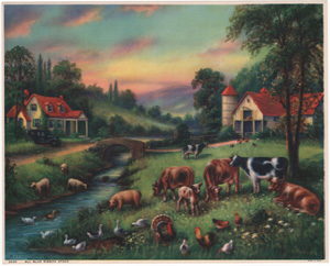 Vintage Calendar Art cows, cattle, livestock, farm life, etc.